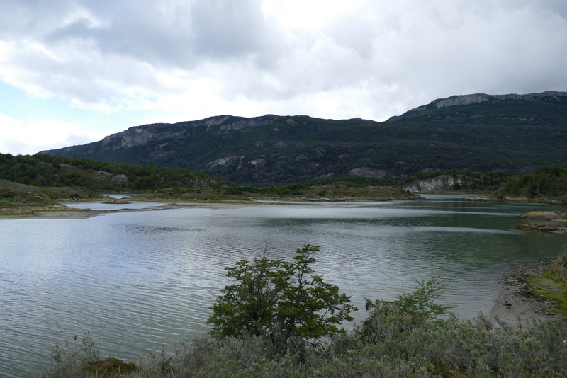 Lake in Tierra del Fuego NP