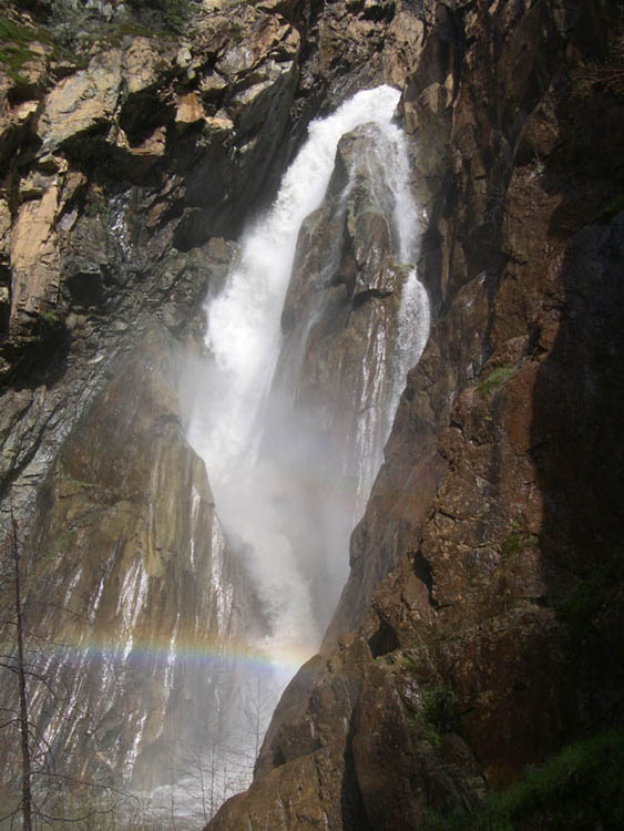 The highest waterfall on Canyon Creek
