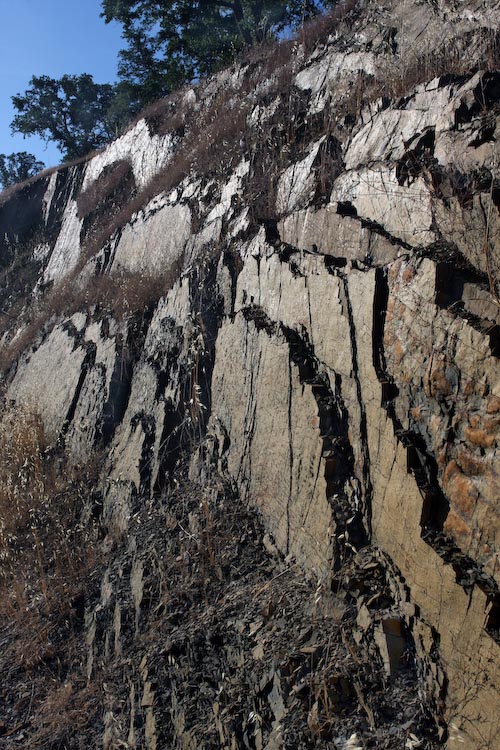 Outcrop of Mariposa Slate