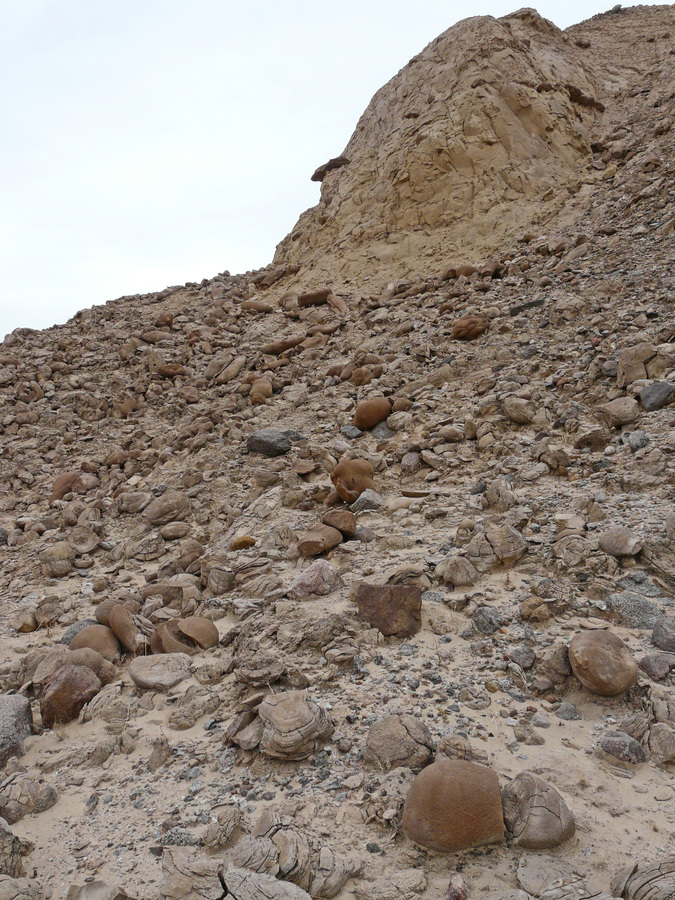 Slope with concretions