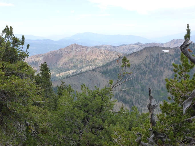 view west from China Mountain toward Cory Peak, Scott Mountains, Klamath Ranges