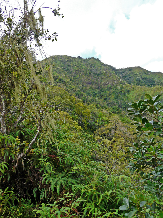View towards summit from Mt. Aorai trail