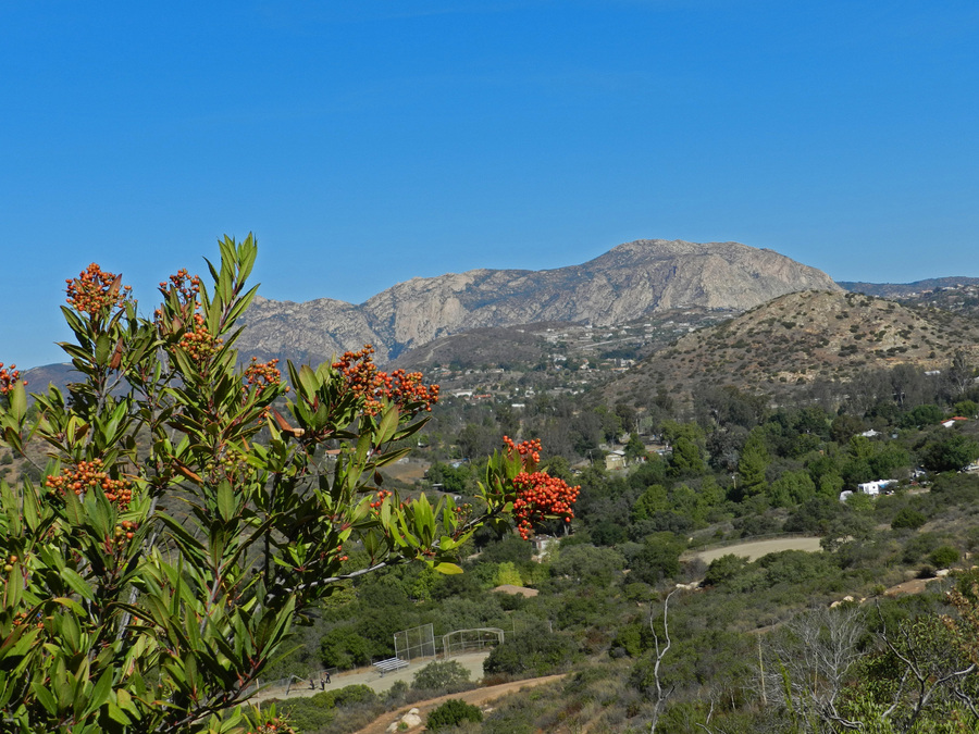 View of El Cajon Mtn.