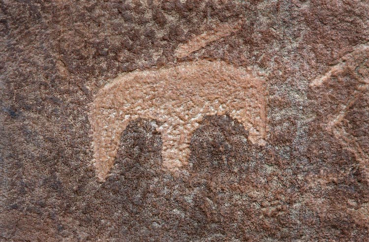 Petroglyph / Capitol Reef National Park