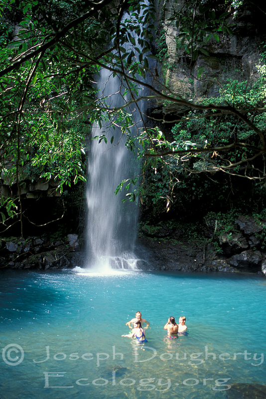 Tropical hikers enjoying a crystal clear rainforest waterfall in Costa Rica.