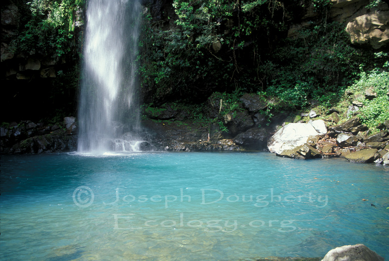 Tropical hikers enjoying a crystal clear rainforest waterfall in Costa Rica.