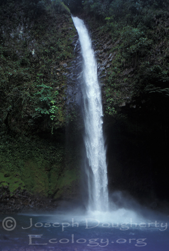 Towering waterfall near La Fortuna in Costa Rica.