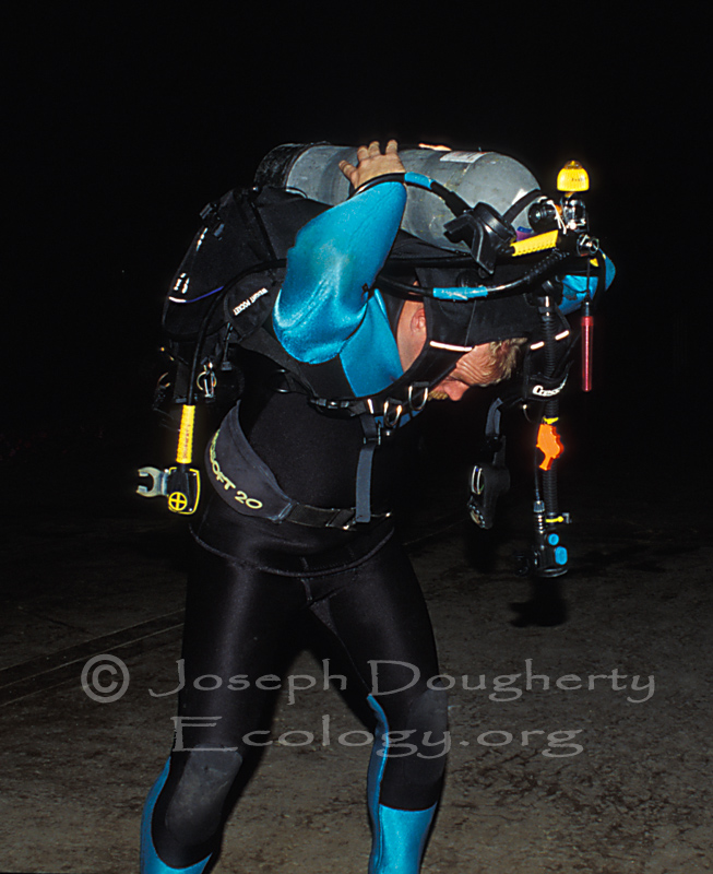 Suiting up for a night dive in Monterey Bay at the Coast Guard Breakwater.