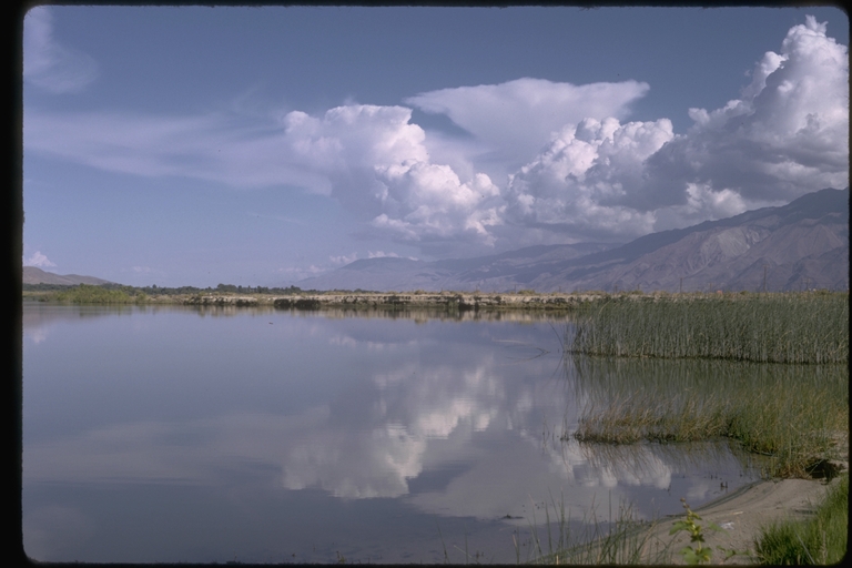 View at Diaz Lake, Inyo County, CA