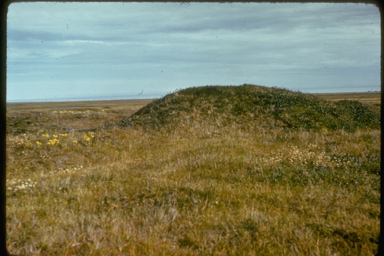 Tundra with isolated mound near Pt. Barrow, Alaska