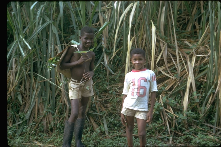 boys in sugar cane field