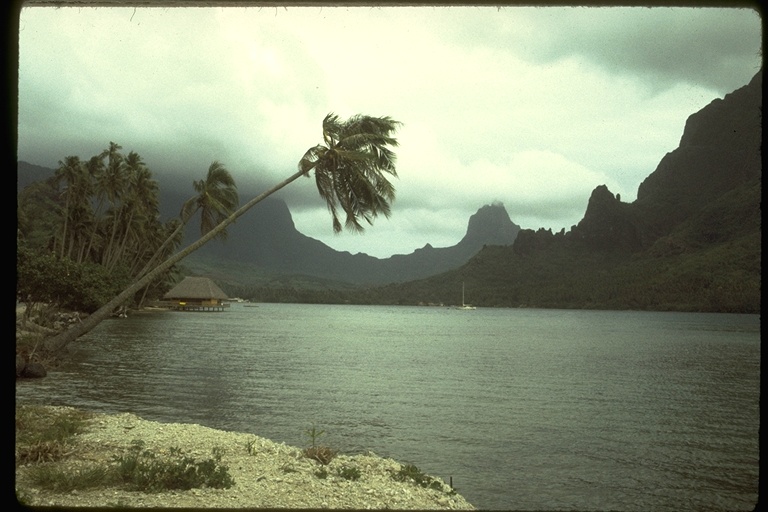 Tahiti coastal scene