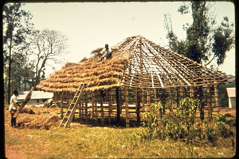 Putting a thatch roof on a building in Kaimosi, Kenya, Africa