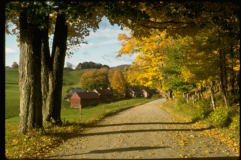 Country road in Autumn in Vermont