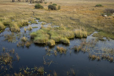 Waterholes in Chobe National Park, Botswana, Africa