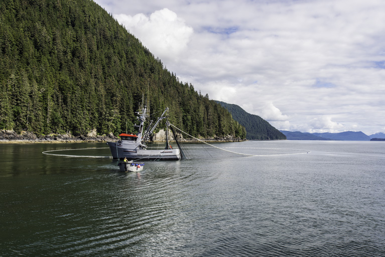 Purse Seining Fishing Boat in Frederick Sound, near Petersburg, Alaska