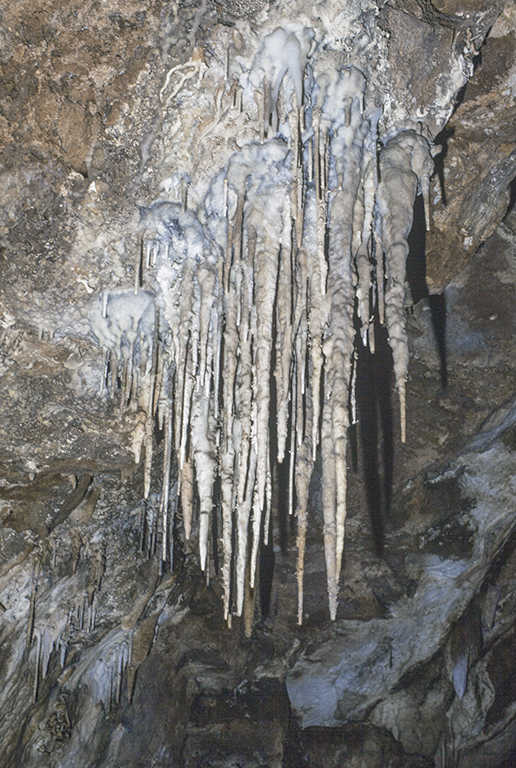 Stalactites, Mercer Caverns