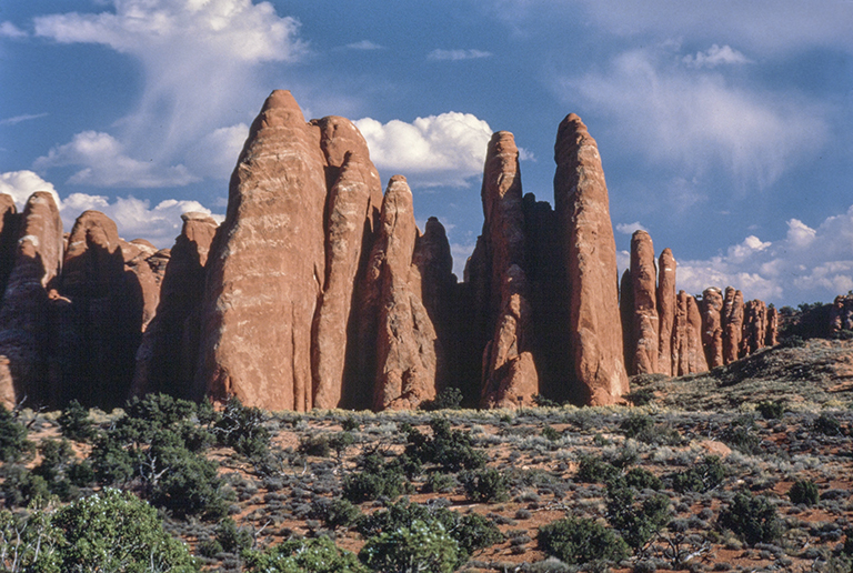 View of entrada sandstone formation fins in Arches National Park, Utah