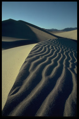 Ibex sand dunes