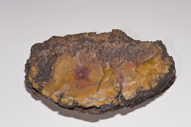 Agate Nodule from Cathedral Valley, Capitol Reef National Park, Utah