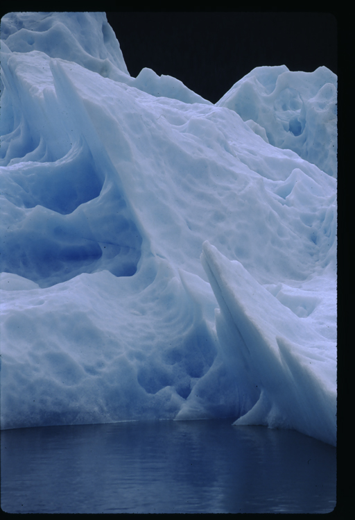 Icebergs in Stephens Passage, Endicott Arm, Alaska