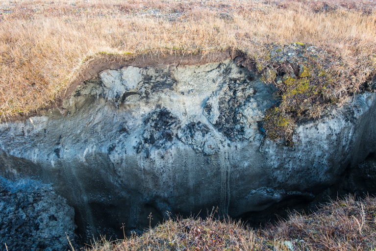 Permafrost layer in Kaktovik, North Slope Borough, Alaska