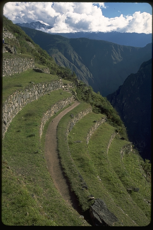 Agricultural terraces at Machu Picchu, Peru