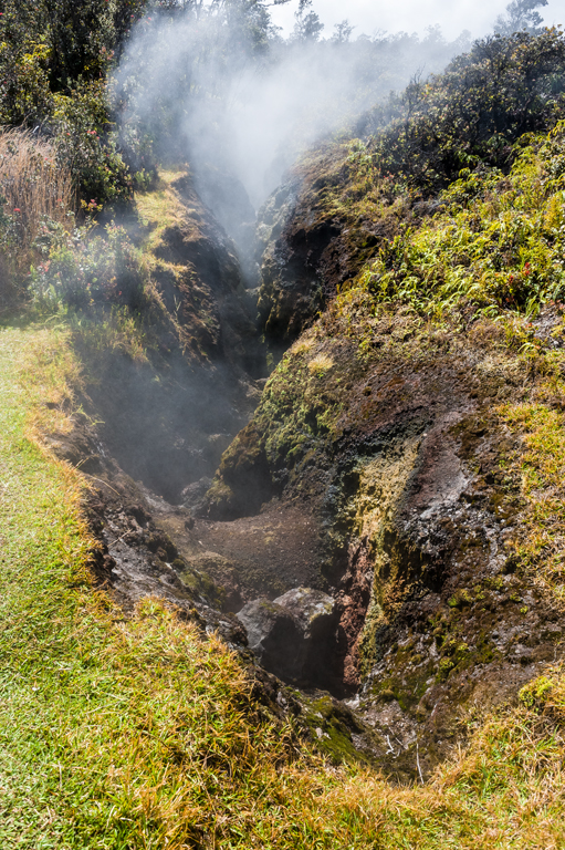 Steam vents at Hawaii Volcanoes National Park