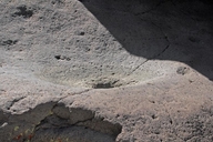 Bedrock Mortar at Little Petroglyph Canyon (California)