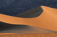Star Dune in Mesquite Dune Field