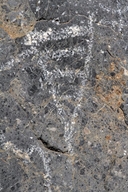 Petroglyph / Titus Canyon Site (California)