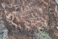 Petroglyphs / Fremont Indian State Park (Utah)