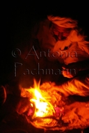 indian man on campfire in thar-desert