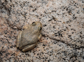 related image