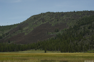 click for enlargement