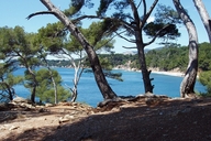 click for enlargement