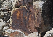 Petroglyphs / McKee Springs Site (Utah)
