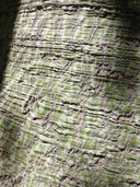 Brachychiton rupestris