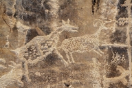 Petroglyphs / Nine Mile Canyon (Utah)