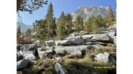 Weathered glacial polish, Pine Creek Canyon, Sierra Nevada east side