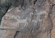 Petroglyphs / Funeral Peak Site (California)