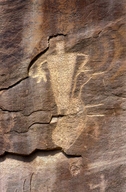 Petroglyphs / Dinosaur National Monument