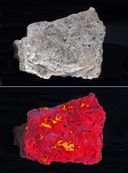 Wollastonite in Calcite