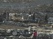 Villagers of Tcharka tilling field and planting barley
