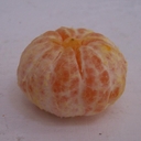 Citrus deliciosa
