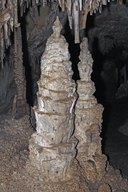 Stalagmites with Corraloids / Lehman Caves / Great Basin National Park