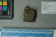 Aenocyon dirus