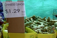 Ginger Root