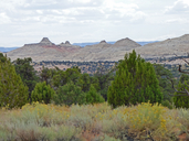 click for enlargement