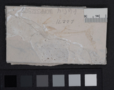 Gasterosteus doryssus